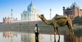 SPECIAL TOUR PACKAGES